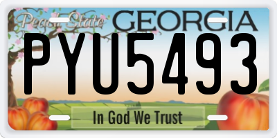 GA license plate PYU5493