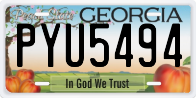 GA license plate PYU5494
