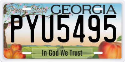 GA license plate PYU5495