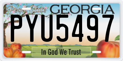 GA license plate PYU5497