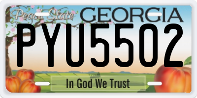 GA license plate PYU5502