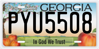 GA license plate PYU5508