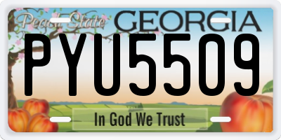 GA license plate PYU5509