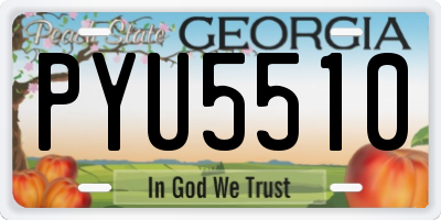GA license plate PYU5510