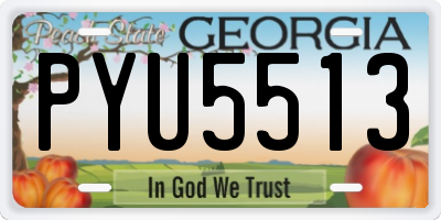 GA license plate PYU5513