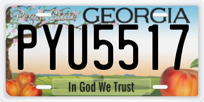 GA license plate PYU5517