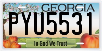 GA license plate PYU5531