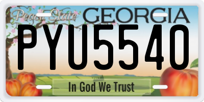 GA license plate PYU5540
