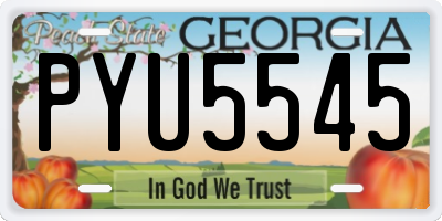 GA license plate PYU5545