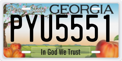 GA license plate PYU5551