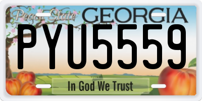 GA license plate PYU5559