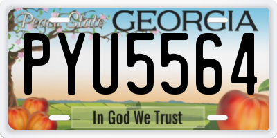 GA license plate PYU5564
