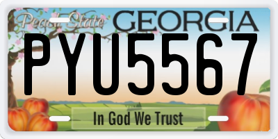 GA license plate PYU5567
