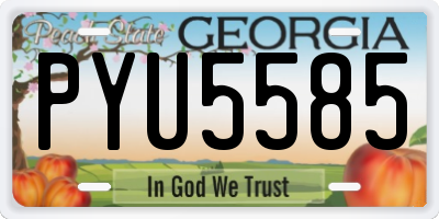 GA license plate PYU5585