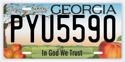 GA license plate PYU5590