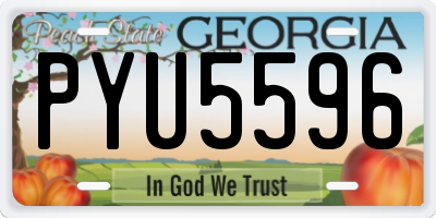 GA license plate PYU5596