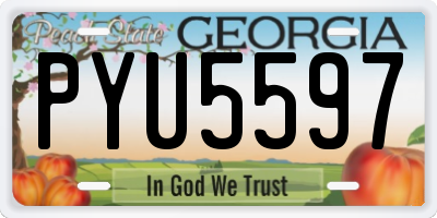GA license plate PYU5597