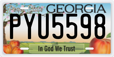 GA license plate PYU5598