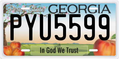 GA license plate PYU5599