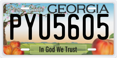GA license plate PYU5605