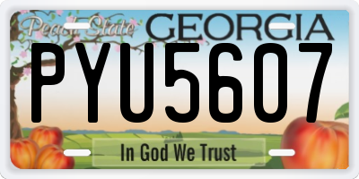 GA license plate PYU5607