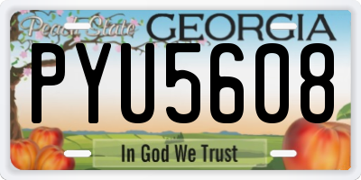 GA license plate PYU5608