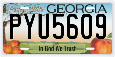 GA license plate PYU5609