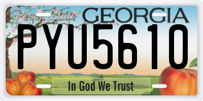GA license plate PYU5610