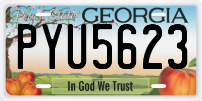 GA license plate PYU5623