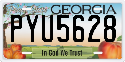 GA license plate PYU5628
