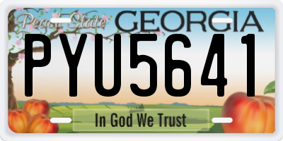 GA license plate PYU5641