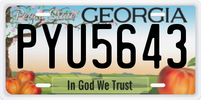GA license plate PYU5643