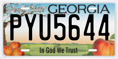 GA license plate PYU5644