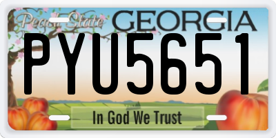 GA license plate PYU5651