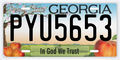 GA license plate PYU5653