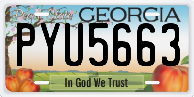 GA license plate PYU5663