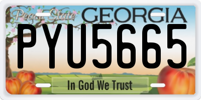 GA license plate PYU5665
