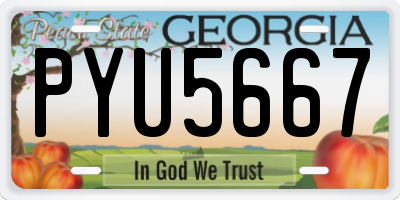 GA license plate PYU5667
