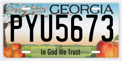 GA license plate PYU5673
