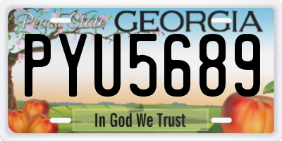 GA license plate PYU5689