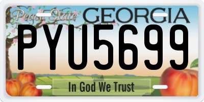GA license plate PYU5699