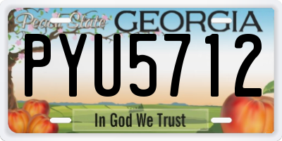 GA license plate PYU5712