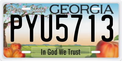 GA license plate PYU5713
