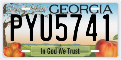 GA license plate PYU5741