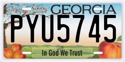 GA license plate PYU5745