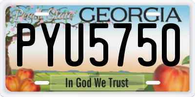 GA license plate PYU5750