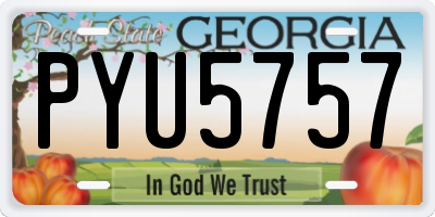 GA license plate PYU5757
