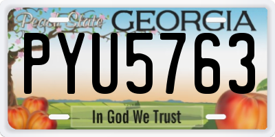 GA license plate PYU5763
