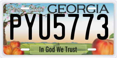 GA license plate PYU5773