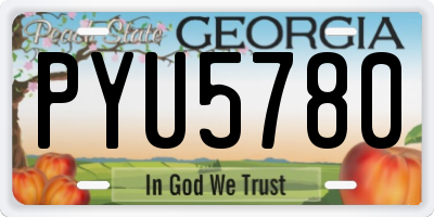 GA license plate PYU5780
